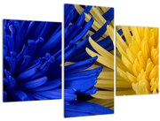 Obraz - detail kvetov (90x60 cm)