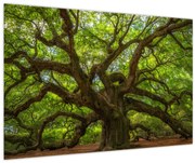 Obraz - Zelený strom (90x60 cm)