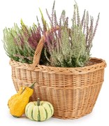 Nákupný kôš prútený Pirkumu II.š. 44 x hl. 34 x v. 25/40(cm)