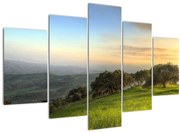 Obraz - Výhľad z kopca (150x105 cm)