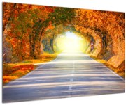 Obraz - Brána z korún stromov (90x60 cm)