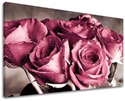 Obraz na stenu KVETY RUŽE | rôzne rozmery