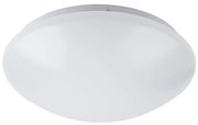 Nedes LCL421M