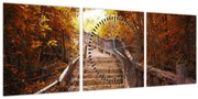 Obraz - Schody v prírode na jeseň (s hodinami) (90x30 cm)