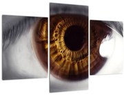 Obraz - Oko (90x60 cm)