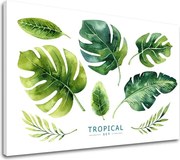 Obraz na stenu s textom Tropical set