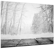 Obraz - Drevené mólo v zime (70x50 cm)