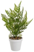 Umelá papraď (výška 45 cm) – Casa Selección