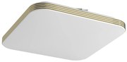 Stropné LED svietidlo Dabar, 1x LED 17w, 4000k, g