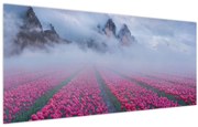 Obraz - Krajina s tulipánovými poľami (120x50 cm)