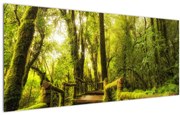 Obraz machové džungle (120x50 cm)