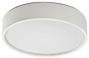 Rabalux 75012 stropné LED svietidlo Larcia, 19 W, strieborná