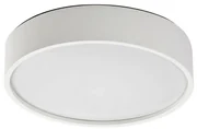Rabalux 75012 stropné LED svietidlo Larcia, 19 W, strieborná
