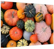 Sklenený obraz - Tekvica (70x50 cm)