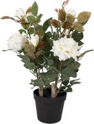 Dekoračná kvetina ruže s bielymi kvetmi Rose white - 20*20*55 cm