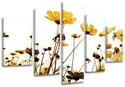 Obraz na stenu KVETY | rôzne rozmery