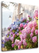 Obraz na stenu RUŽOVÉ KVETY_157-12 | rôzne rozmery