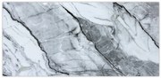 Dizajnový FLEXI panel ZT188257 šedý 120x60 cm