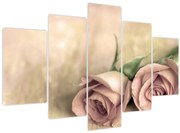Obraz - Jemné ruže (150x105 cm)