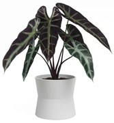 Keramický kvetináč ø 14 cm Diana – Artevasi