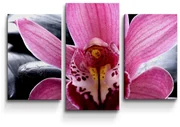 Sablio Obraz - 3-dílný Ružová orchidea - 75x50 cm
