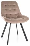 Jedálenská stolička Albons Velvet, béžová