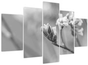 Obraz - Rozkvitnutý kvet (150x105 cm)