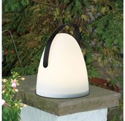 Eglo 48841 - LED Vonkajšia stolná lampa COLLIRADOS LED/3xAA IP44