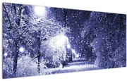 Obraz - Čarovná zimná noc (120x50 cm)