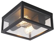 Priemyselné stropné svietidlo čierne IP44 2-žiarovkové - Charlois