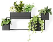 Závesné plastové kvetináče na bylinky v súprave 4 ks Cubiko – Umbra