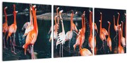 Obraz stádo plameniakov (s hodinami) (90x30 cm)