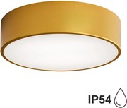 Kúpeľňové stropné svietidlo CLEO 2xE27/24W/230V pr. 30 cm zlatá IP54