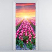 Fototapeta na dvere - Pole tulipánov so slnkom (95x205cm)