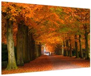 Obraz - Jeseň Alej stromov (90x60 cm)