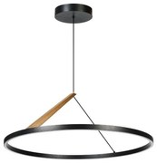 Rabalux 72352 - LED závesný luster na lanku RENARA LED/40W/230V 3000K