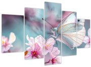 Obraz - Motýľ na čerešni (150x105 cm)