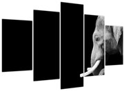 Obraz - Slon (150x105 cm)