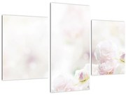 Obraz nežných kvetov (90x60 cm)