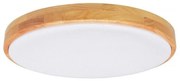 Ecolite WLD400-24W/LED/SD - LED Stmievateľné stropné svietidlo LENA LED/24W/230V