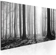 Obraz - Black and White Forest Veľkosť: 120x40, Verzia: Standard