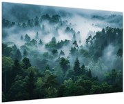 Obraz - Les v hmle (90x60 cm)