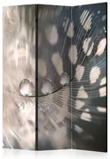 Artgeist Paraván - Elegant Feather [Room Dividers]