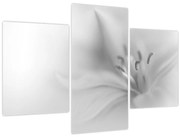 Obraz - Jemná ľalia (90x60 cm)