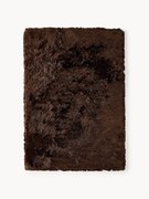 Lesklý koberec's vysokým vlasom Jimmy