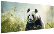 Obraz - Panda (120x50 cm)
