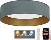 Brilagi - LED Stmievateľné svietidlo VELVET SMART LED/24W/230V Wi-Fi Tuya + DO