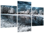Obraz - Zamrznutá krajina (90x60 cm)
