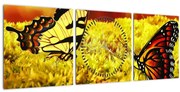 Obraz motýľov (s hodinami) (90x30 cm)