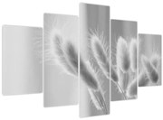 Obraz - Bunny tail grass (150x105 cm)